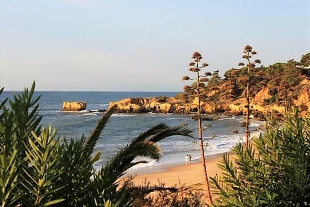 אלבופיירה Sunny Apartment Close To The Beach מראה חיצוני תמונה